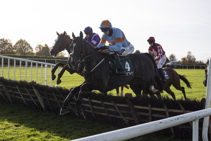 Cheltenham Festival Focus: Keep Mozzie your mate for the Supreme Novice Hurdle